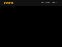Tablet Screenshot of canecane.com
